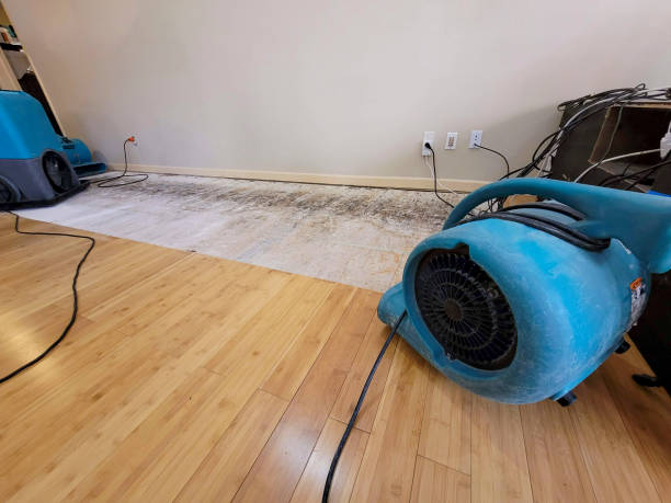 Professional Water Damage Repair technician working in Rossville, IN